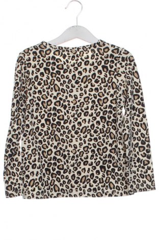 Kinder Shirt Lindex, Größe 5-6y/ 116-122 cm, Farbe Mehrfarbig, Preis 7,99 €