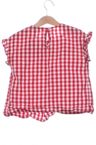Bluză pentru copii Oviesse, Mărime 6-7y/ 122-128 cm, Culoare Multicolor, Preț 24,99 Lei
