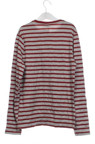 Kinder Shirt Piazza Italia, Größe 11-12y/ 152-158 cm, Farbe Mehrfarbig, Preis 7,99 €