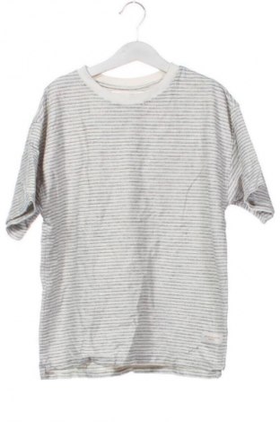 Detská blúzka  Zara, Veľkosť 8-9y/ 134-140 cm, Farba Viacfarebná, Cena  8,95 €