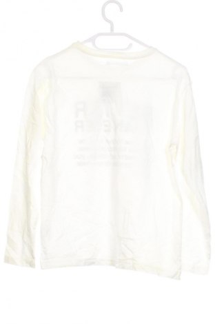 Detská blúzka  Zara, Veľkosť 10-11y/ 146-152 cm, Farba Viacfarebná, Cena  8,95 €