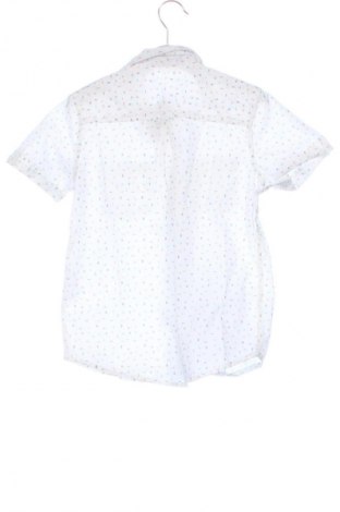Dětská košile  Coccodrillo, Velikost 5-6y/ 116-122 cm, Barva Vícebarevné, Cena  150,00 Kč