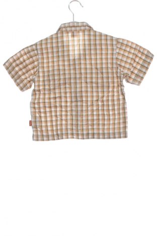 Kinderhemd Unbranded, Größe 9-12m/ 74-80 cm, Farbe Mehrfarbig, Preis 6,99 €