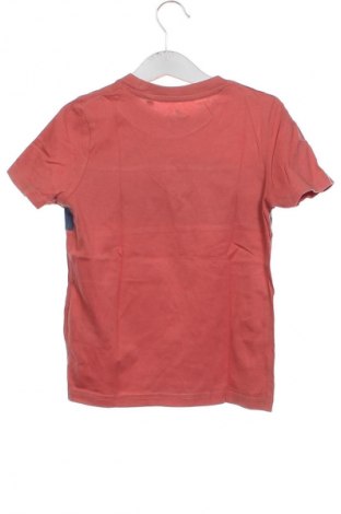Tricou pentru copii Lupilu, Mărime 4-5y/ 110-116 cm, Culoare Multicolor, Preț 31,58 Lei