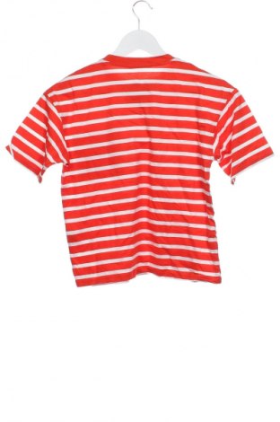 Detské tričko Zara, Veľkosť 8-9y/ 134-140 cm, Farba Viacfarebná, Cena  4,95 €