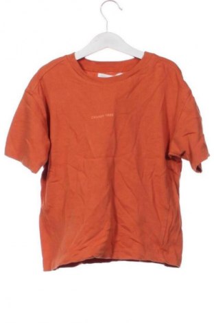 Tricou pentru copii Zara, Mărime 5-6y/ 116-122 cm, Culoare Portocaliu, Preț 23,99 Lei