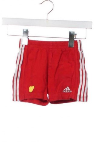 Pantaloni scurți pentru copii Adidas, Mărime 12-18m/ 80-86 cm, Culoare Roșu, Preț 163,60 Lei