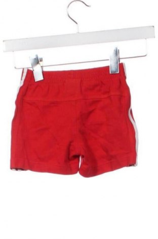 Pantaloni scurți pentru copii Adidas, Mărime 12-18m/ 80-86 cm, Culoare Roșu, Preț 163,60 Lei