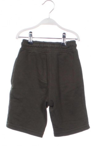 Dětské krátké kalhoty  Next, Velikost 5-6y/ 116-122 cm, Barva Zelená, Cena  226,00 Kč