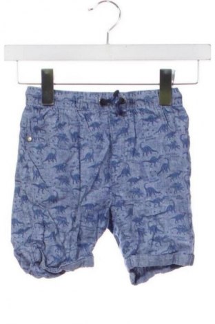 Pantaloni scurți pentru copii Next, Mărime 5-6y/ 116-122 cm, Culoare Multicolor, Preț 46,30 Lei