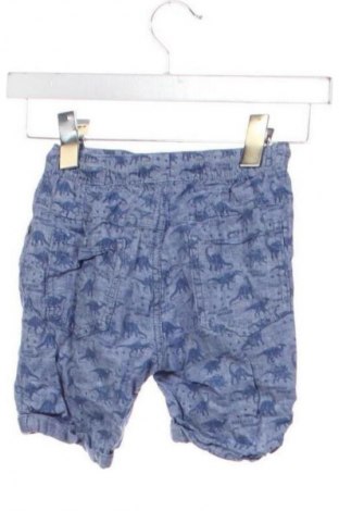 Pantaloni scurți pentru copii Next, Mărime 5-6y/ 116-122 cm, Culoare Multicolor, Preț 46,30 Lei