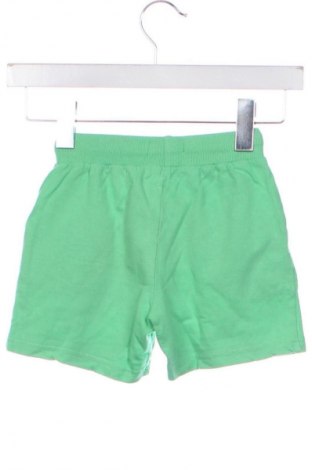 Dziecięce szorty Sinsay, Rozmiar 3-4y/ 104-110 cm, Kolor Zielony, Cena 61,15 zł