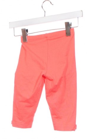 Παιδικό κολάν Lupilu, Μέγεθος 4-5y/ 110-116 εκ., Χρώμα Πορτοκαλί, Τιμή 7,16 €