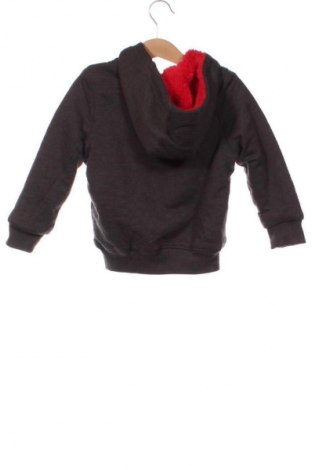 Hanorac pentru copii Lupilu, Mărime 2-3y/ 98-104 cm, Culoare Gri, Preț 82,47 Lei