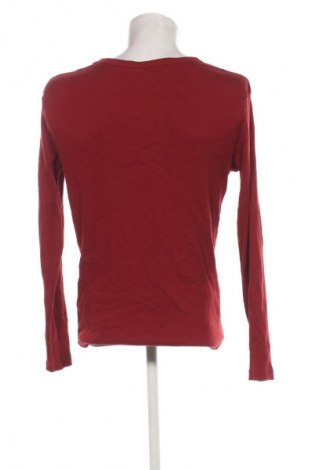 Herren Shirt Cubus, Größe XL, Farbe Braun, Preis € 13,99