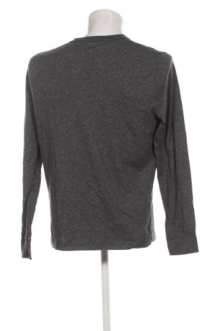 Pánske tričko  Hollister, Veľkosť L, Farba Sivá, Cena  13,80 €