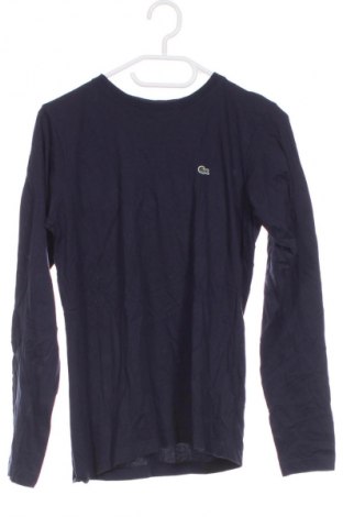 Herren Shirt Lacoste, Größe XS, Farbe Blau, Preis € 43,99