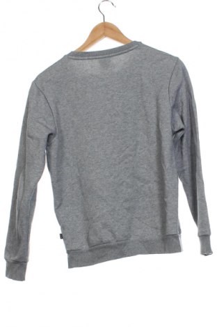 Herren Shirt PUMA, Größe XS, Farbe Mehrfarbig, Preis € 28,99
