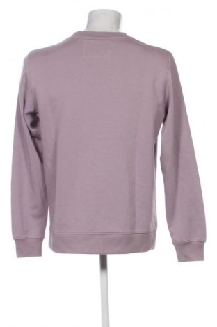 Męska bluzka Paul Hunter, Rozmiar XL, Kolor Fioletowy, Cena 305,99 zł