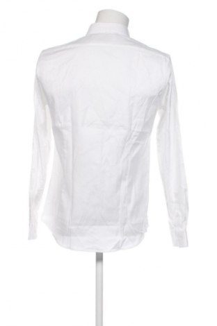 Męska koszula Calvin Klein, Rozmiar L, Kolor Biały, Cena 492,99 zł