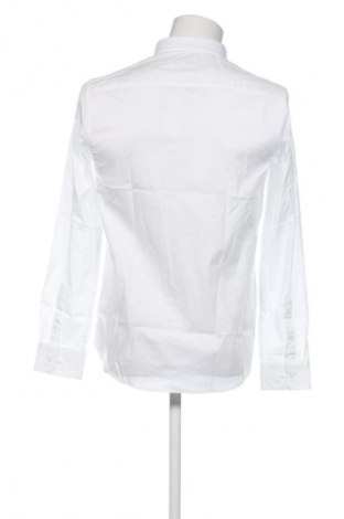 Herrenhemd Calvin Klein, Größe M, Farbe Weiß, Preis 92,99 €