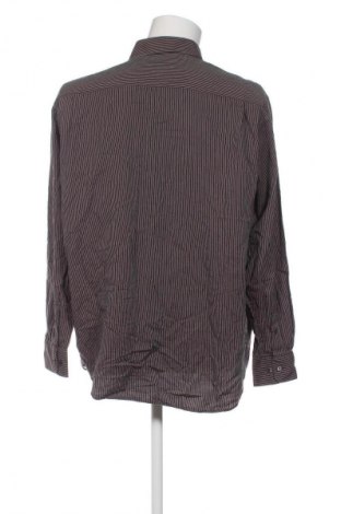 Herrenhemd Canda, Größe XL, Farbe Mehrfarbig, Preis € 20,99