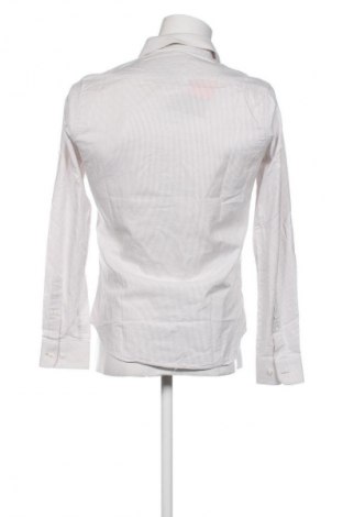 Herrenhemd Sondag & Sons, Größe S, Farbe Mehrfarbig, Preis € 32,99