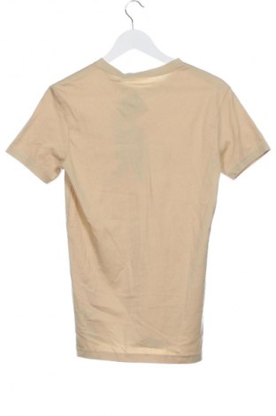 Herren T-Shirt Calvin Klein Jeans, Größe XS, Farbe Beige, Preis 32,99 €