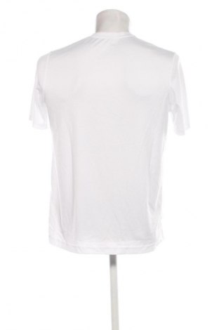 Herren T-Shirt Joma, Größe M, Farbe Mehrfarbig, Preis 13,99 €