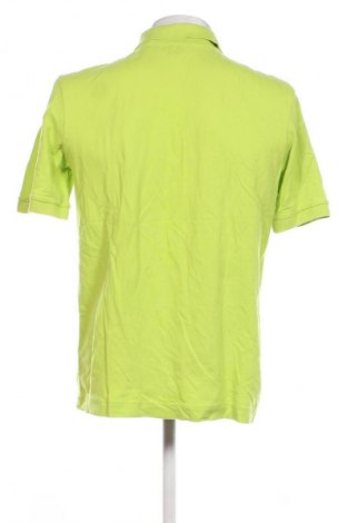 Herren T-Shirt Kappa, Größe L, Farbe Grün, Preis 13,99 €