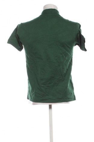 Herren T-Shirt Lacoste, Größe S, Farbe Grün, Preis € 86,99