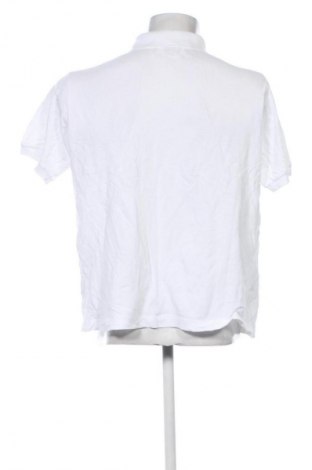 Herren T-Shirt Lacoste, Größe M, Farbe Weiß, Preis 37,99 €