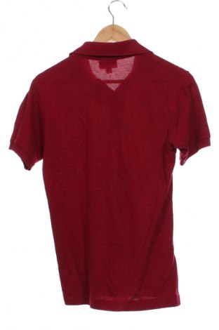 Pánske tričko  Lacoste, Veľkosť XS, Farba Červená, Cena  31,95 €