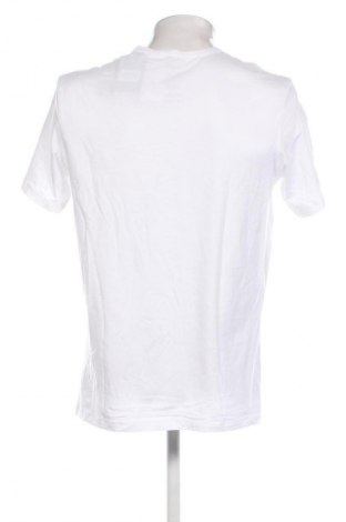 Herren T-Shirt Lyle & Scott, Größe L, Farbe Weiß, Preis 42,99 €