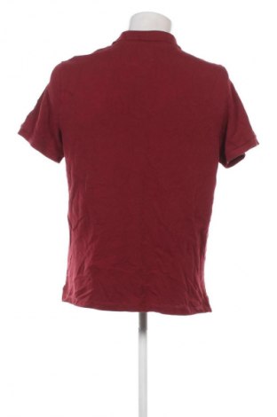 Herren T-Shirt Oviesse, Größe L, Farbe Rot, Preis 13,99 €
