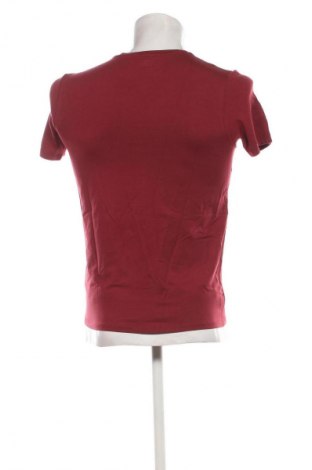 Herren T-Shirt Paul Hunter, Größe M, Farbe Rot, Preis € 43,99