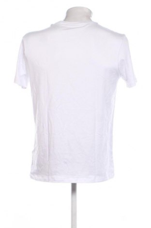 Herren T-Shirt Paul Hunter, Größe L, Farbe Weiß, Preis € 43,99