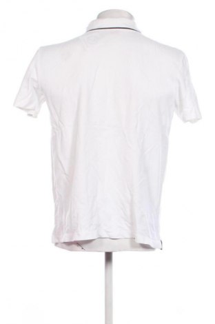 Herren T-Shirt S.Oliver, Größe L, Farbe Weiß, Preis € 13,99