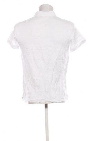Ανδρικό t-shirt Tom Tailor, Μέγεθος S, Χρώμα Λευκό, Τιμή 12,99 €
