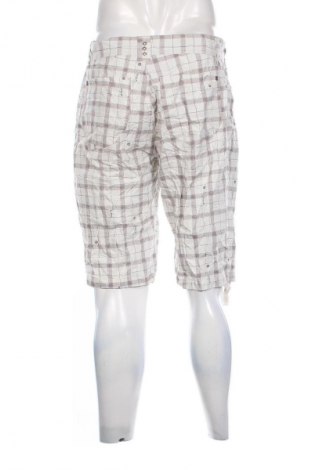 Herren Shorts 17 & Co., Größe L, Farbe Mehrfarbig, Preis 17,99 €