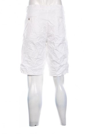 Herren Shorts Brax, Größe XL, Farbe Weiß, Preis 27,99 €