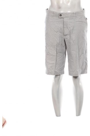 Herren Shorts Brax, Größe L, Farbe Mehrfarbig, Preis 27,99 €