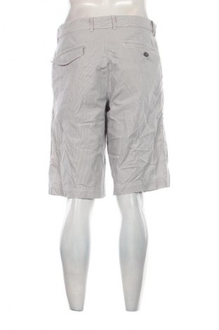 Herren Shorts Brax, Größe L, Farbe Mehrfarbig, Preis 27,99 €