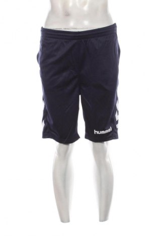 Herren Shorts Hummel, Größe M, Farbe Blau, Preis 23,99 €