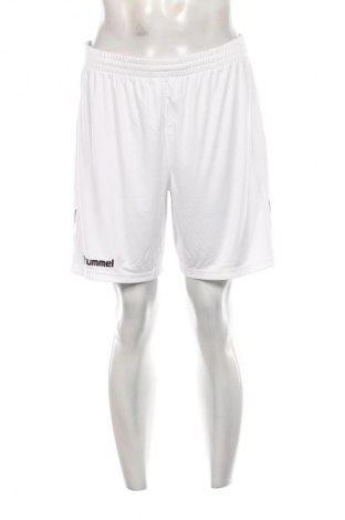 Herren Shorts Hummel, Größe XL, Farbe Weiß, Preis 15,99 €