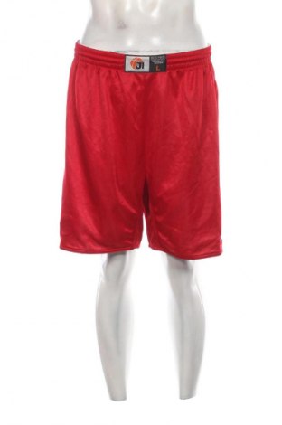 Herren Shorts Jako, Größe L, Farbe Mehrfarbig, Preis 13,99 €