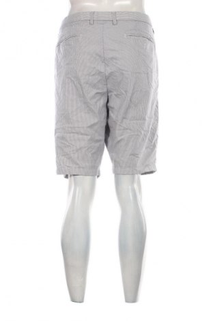 Herren Shorts Westbury, Größe L, Farbe Mehrfarbig, Preis 19,99 €