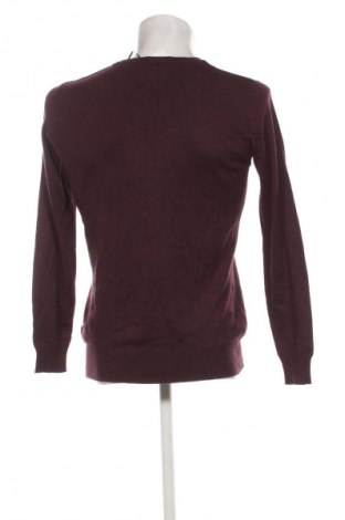 Herrenpullover Marc Lauge, Größe XL, Farbe Lila, Preis 16,99 €