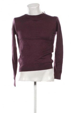 Herrenpullover Terranova, Größe L, Farbe Aschrosa, Preis € 24,99