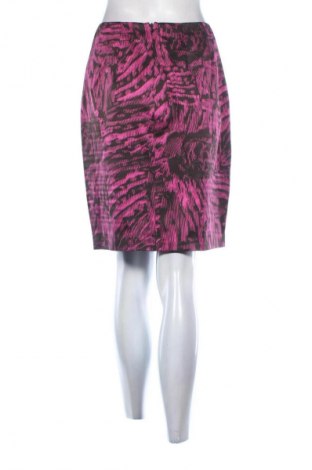 Fustă Strenesse, Mărime S, Culoare Multicolor, Preț 582,49 Lei